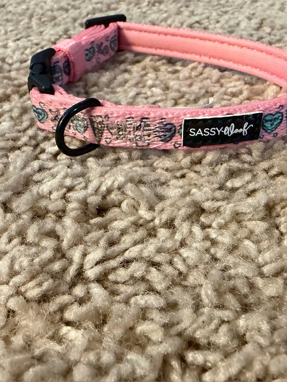 Sassy Woof I Chews You Dog Collar
